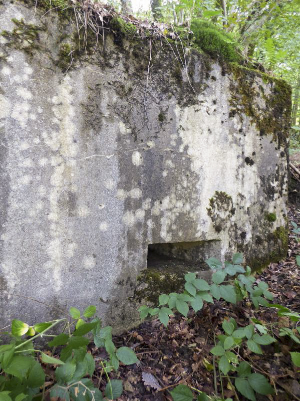 Ligne Maginot - BB53-B - LA CARBONNIERE SUD - (Blockhaus pour arme infanterie) -  - JMBrams