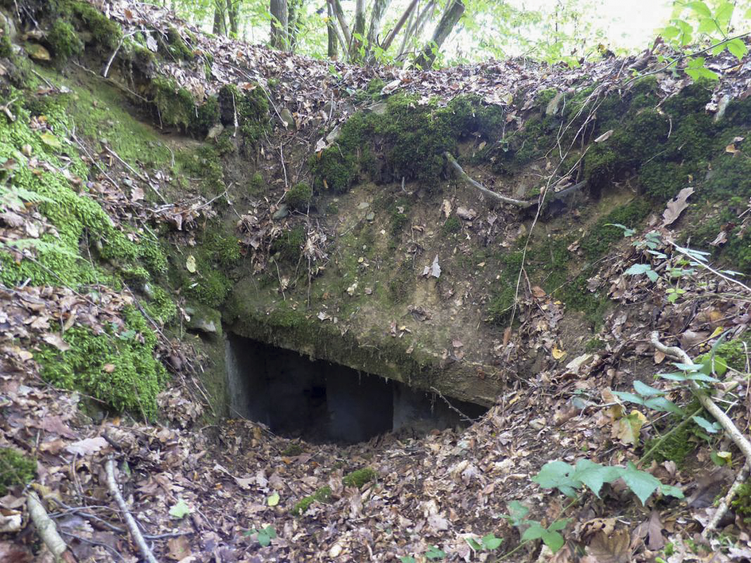Ligne Maginot - BB53-B - LA CARBONNIERE SUD - (Blockhaus pour arme infanterie) -  - JMBrams