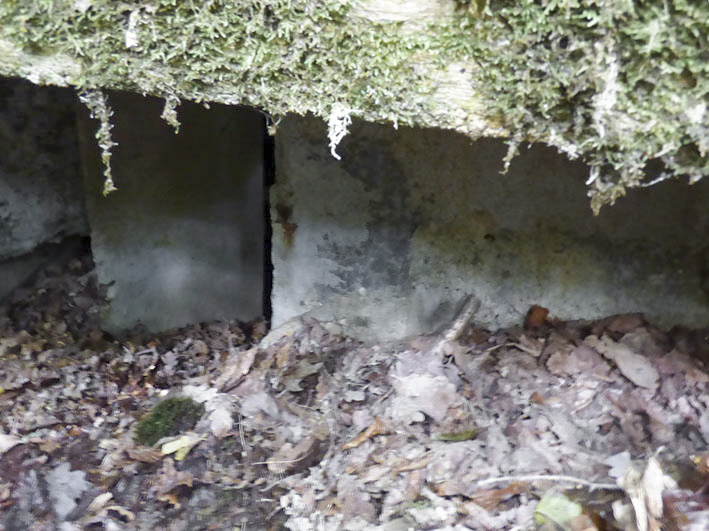 Ligne Maginot - BB53-B - LA CARBONNIERE SUD - (Blockhaus pour arme infanterie) -  - JMBrams