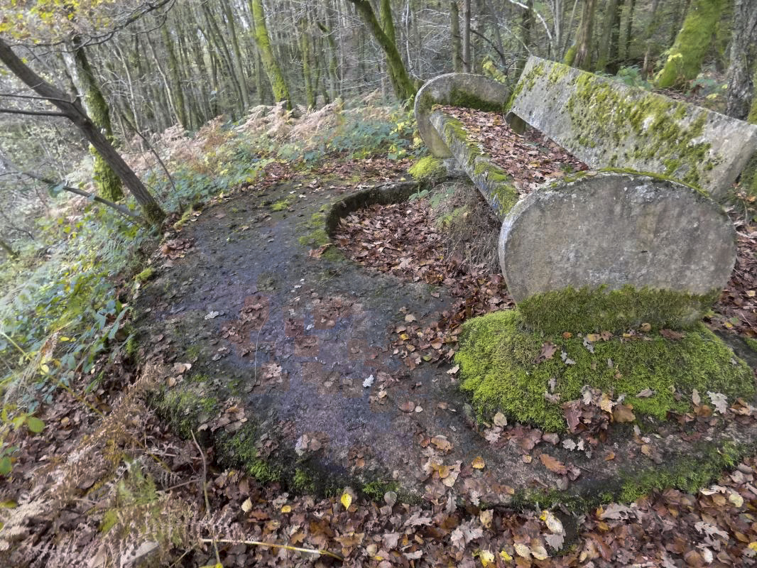 Ligne Maginot - BB53-D - BOIS DE ROMA EST - (Cuve pour arme d'infanterie) -  - R Tucker