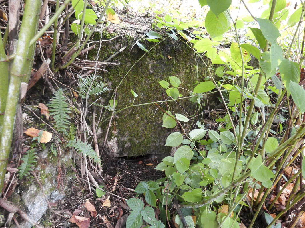 Ligne Maginot - BB53 - LA CARBONNIERE NORD - (Blockhaus pour canon) -  - JMBrams