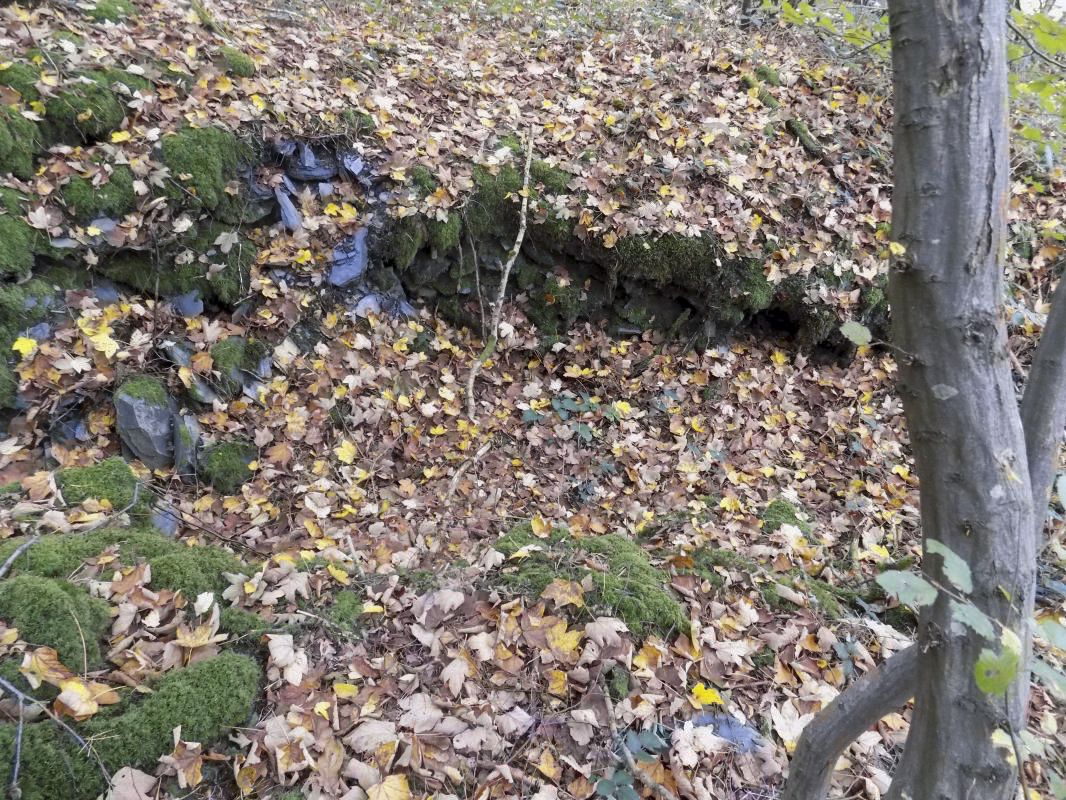 Ligne Maginot - BB54 - LA TERRE NOBLESSE SUD 1 - (Blockhaus pour arme infanterie) - Tranchée entre l'entrée du bloc et l’abri à 20m - R Tucker