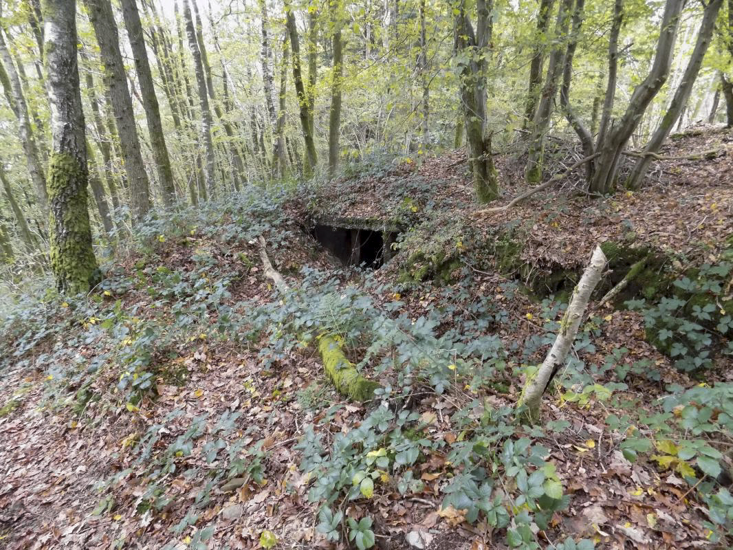 Ligne Maginot - BB54B - LA TERRE NOBLESSE SUD 2 - (Blockhaus pour arme infanterie) - Face frontale - R Tucker