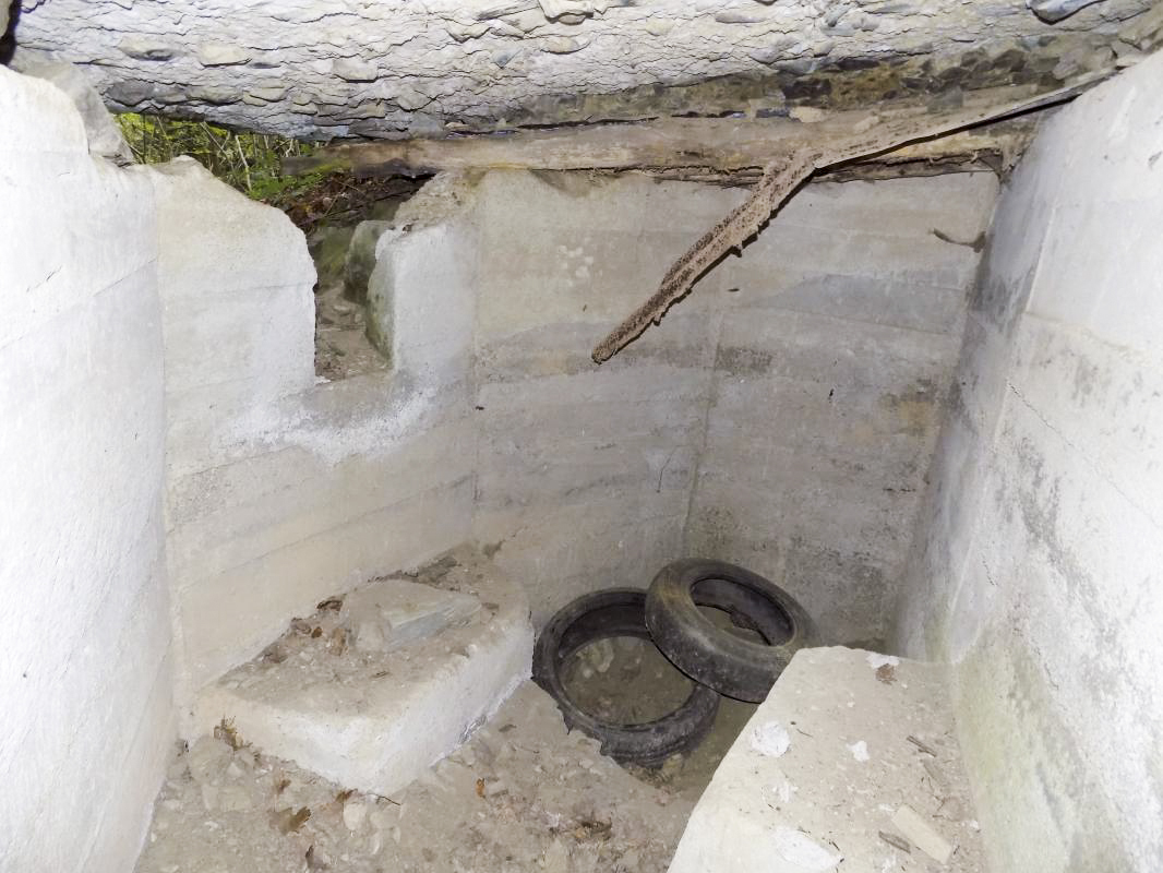 Ligne Maginot - BB54B - LA TERRE NOBLESSE SUD 2 - (Blockhaus pour arme infanterie) - Notez les restes des poutres de support en bois - R Tucker