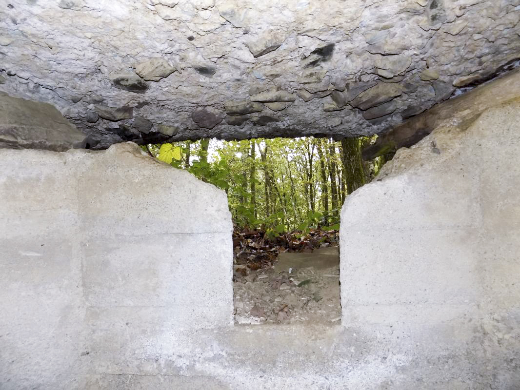 Ligne Maginot - BB54B - LA TERRE NOBLESSE SUD 2 - (Blockhaus pour arme infanterie) - Créneau FM - R Tucker