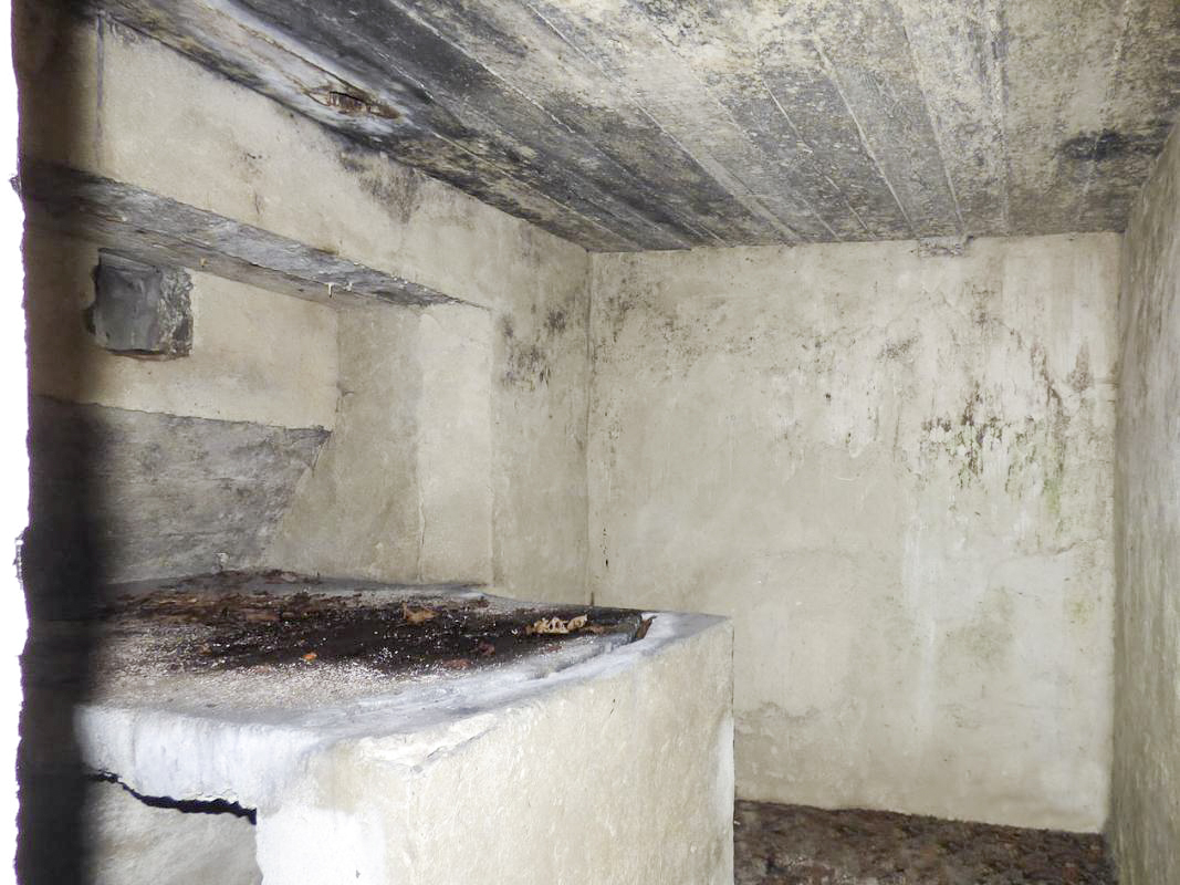 Ligne Maginot - BB55 - LA TERRE NOBLESSE NORD 1 - (Blockhaus pour arme infanterie) -  - JMBrams