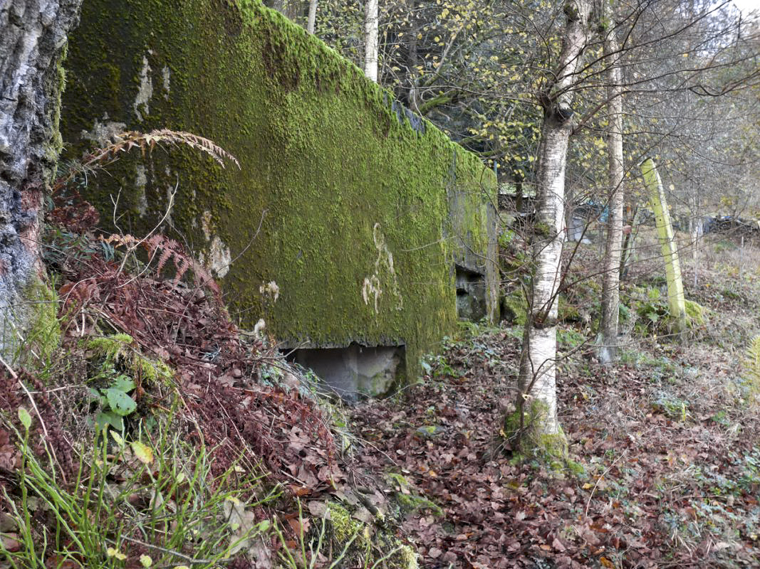 Ligne Maginot - BB58 - SOLTYS SUD - (Blockhaus pour canon) -  - JMBrams