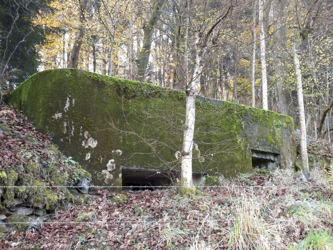 Ligne Maginot - BB58 - SOLTYS SUD - (Blockhaus pour canon) -  - JMBrams