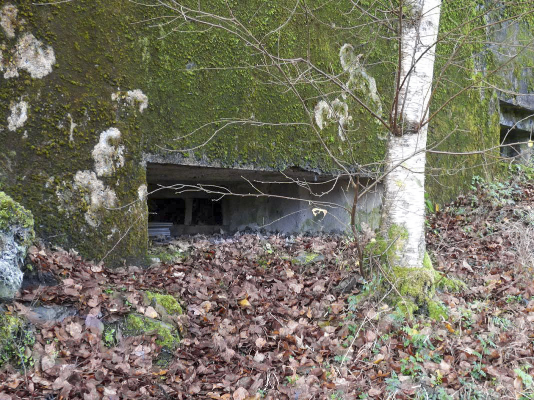 Ligne Maginot - BB58 - SOLTYS SUD - (Blockhaus pour canon) -  - JMBrams