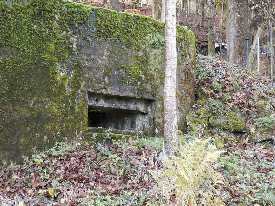 Ligne Maginot - BB58 - SOLTYS SUD - (Blockhaus pour canon) -  - JMBrams