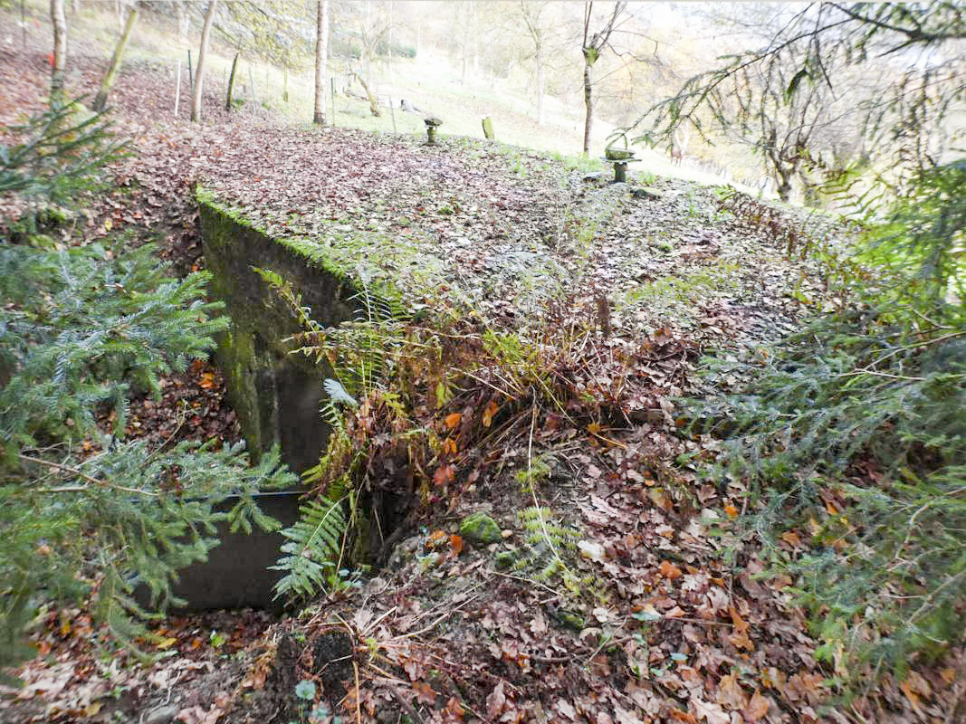 Ligne Maginot - BB58 - SOLTYS SUD - (Blockhaus pour canon) -  - JMBrams