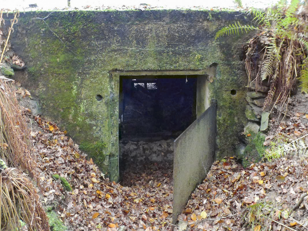 Ligne Maginot - BB58 - SOLTYS SUD - (Blockhaus pour canon) -  - JMBrams