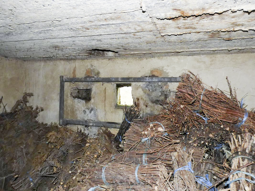 Ligne Maginot - BB58 - SOLTYS SUD - (Blockhaus pour canon) -  - JMBrams