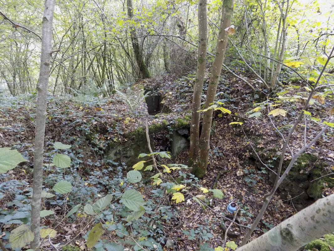 Ligne Maginot - BB57B - SOLTYS OUEST - (Blockhaus pour arme infanterie) -  - R Tucker
