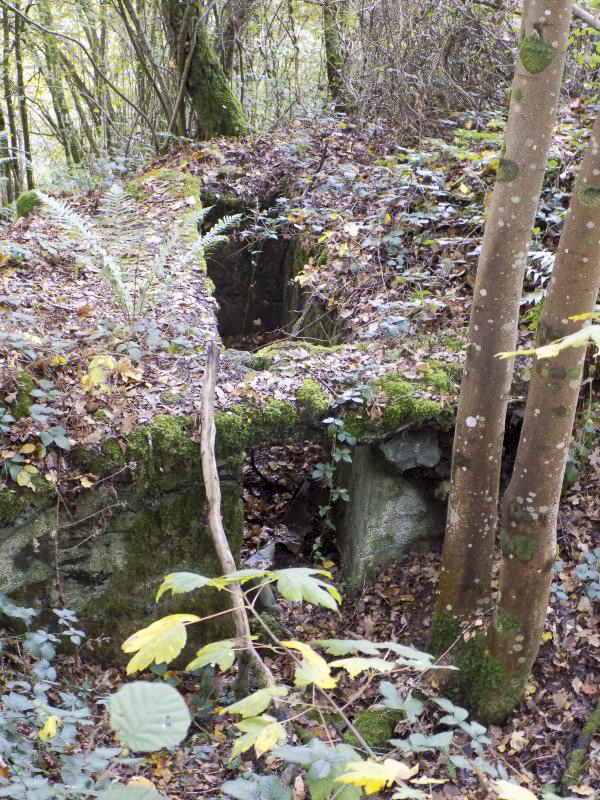 Ligne Maginot - BB57B - SOLTYS OUEST - (Blockhaus pour arme infanterie) -  - R Tucker