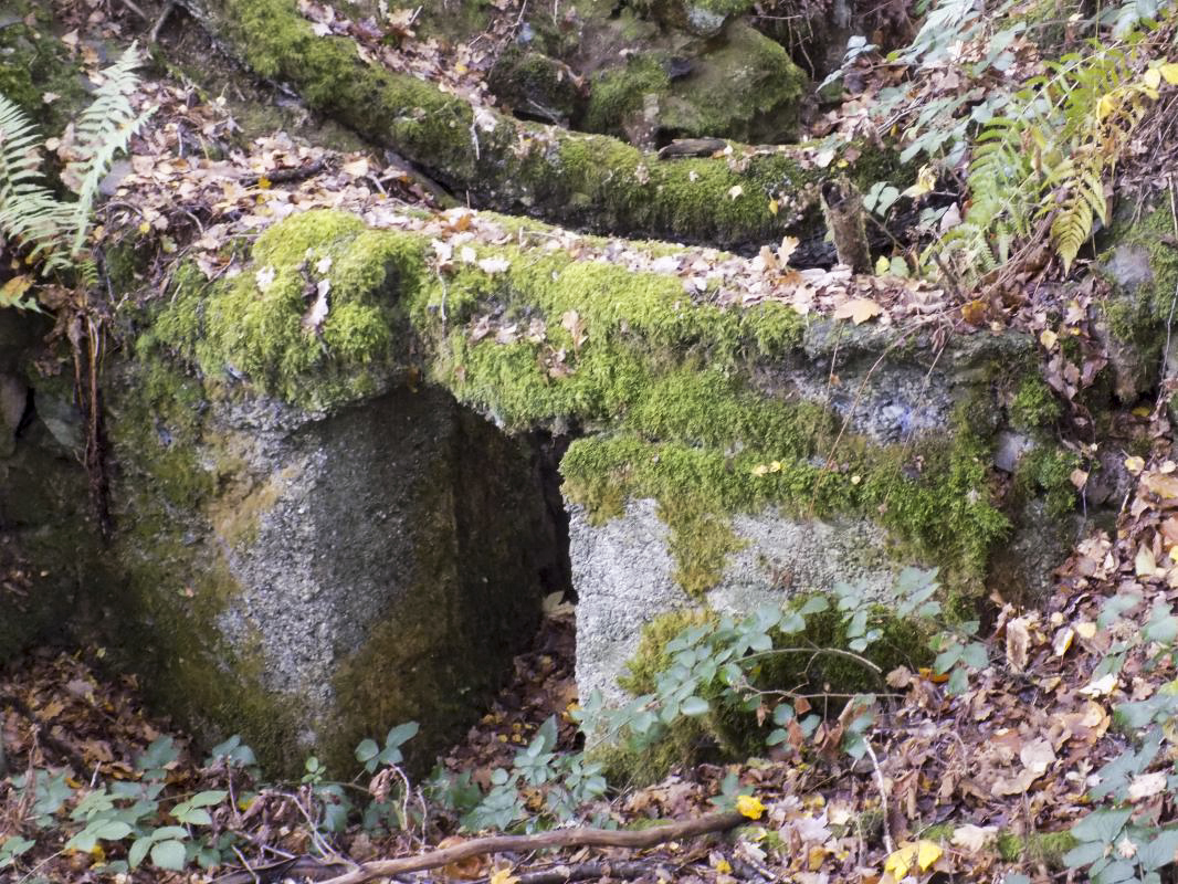 Ligne Maginot - BB57B - SOLTYS OUEST - (Blockhaus pour arme infanterie) -  - R Tucker