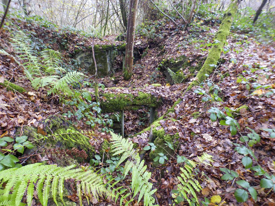 Ligne Maginot - BB57B - SOLTYS OUEST - (Blockhaus pour arme infanterie) -  - JMBrams