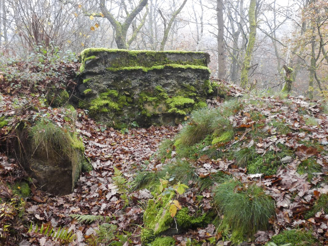 Ligne Maginot - FOND SAINTE ANNE - (Observatoire d'infanterie) -  - JMBrams