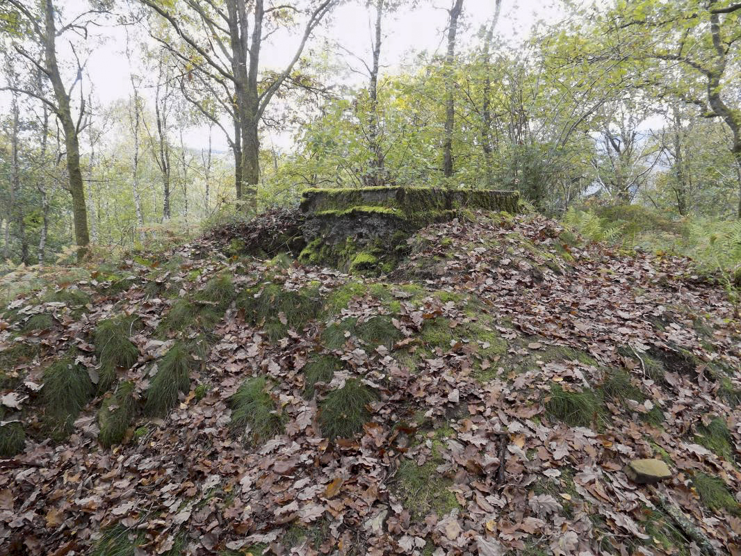 Ligne Maginot - FOND SAINTE ANNE - (Observatoire d'infanterie) -  - R Tucker