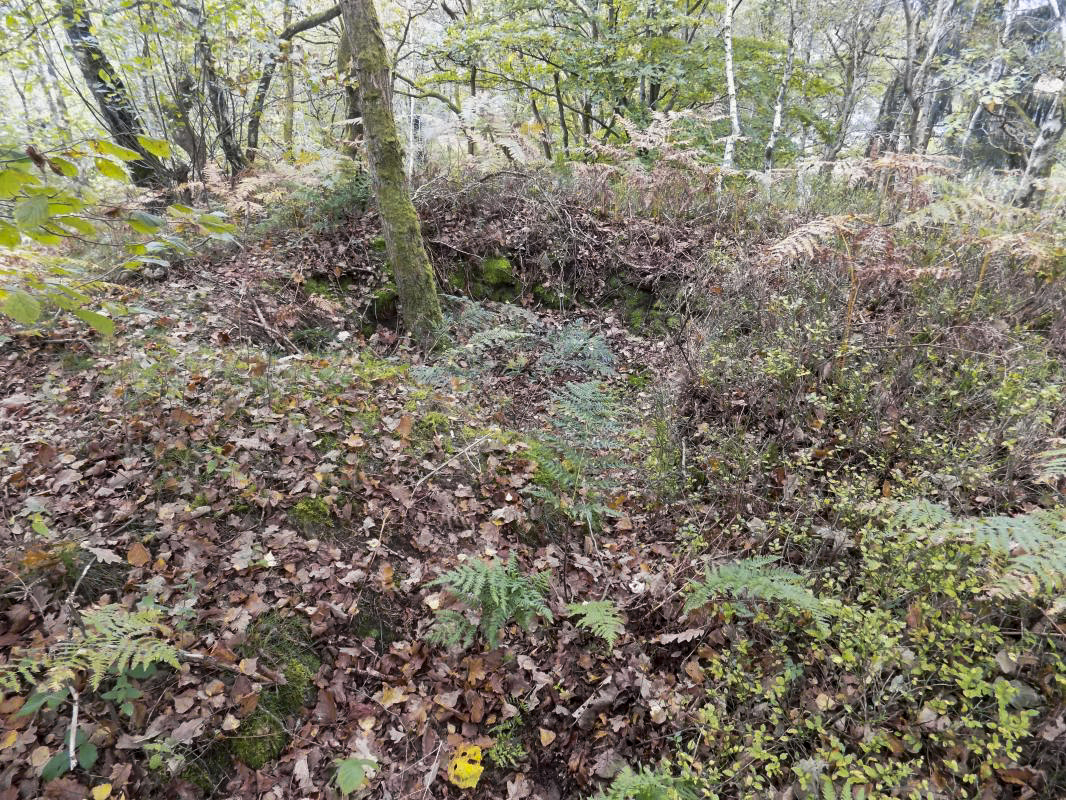 Ligne Maginot - FOND SAINTE ANNE - (Observatoire d'infanterie) - Position infanterie à 15m au nord d'observatoire - R Tucker
