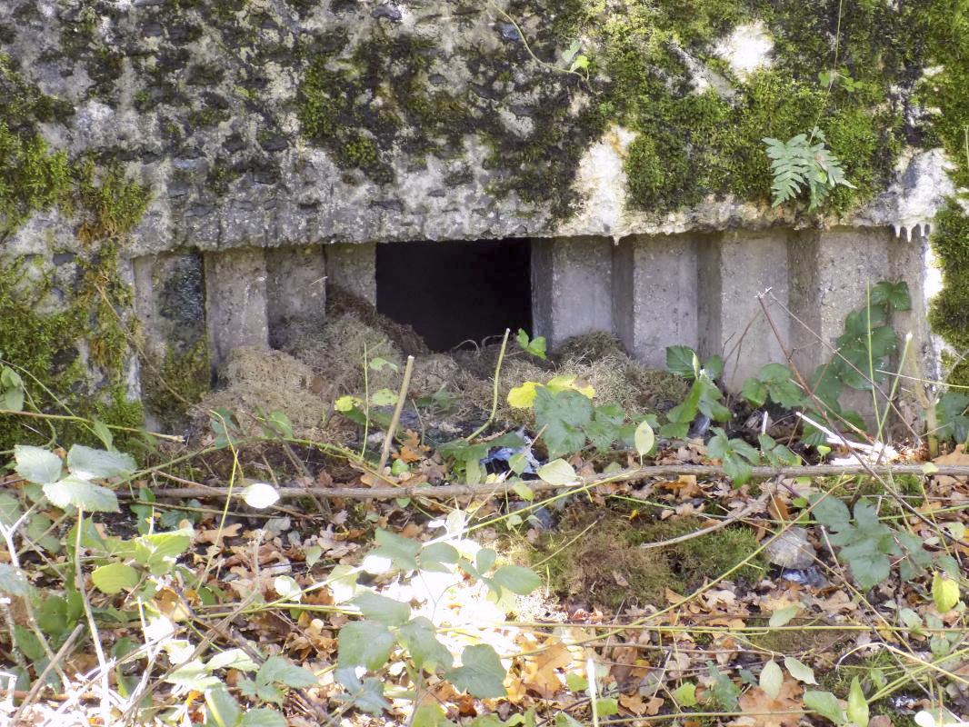 Ligne Maginot - BB59-C - BOIS DE L'HERMITAGE SUD - (Blockhaus pour arme infanterie) - Face droite, créneau droit - R Tucker
