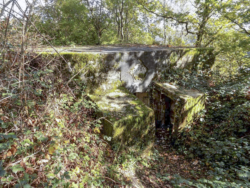 Ligne Maginot - BB59-C - BOIS DE L'HERMITAGE SUD - (Blockhaus pour arme infanterie) - L'arrière - R Tucker