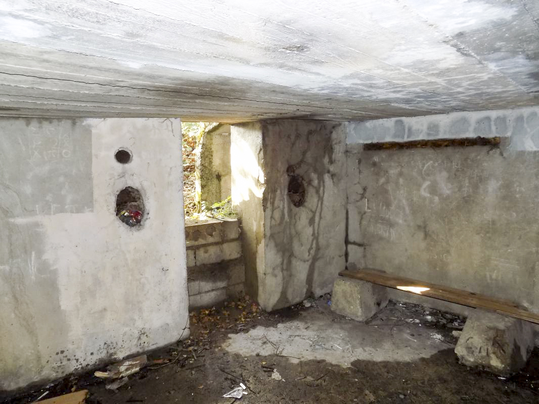 Ligne Maginot - BB59-C - BOIS DE L'HERMITAGE SUD - (Blockhaus pour arme infanterie) - L'arrière et faces gauche - R Tucker