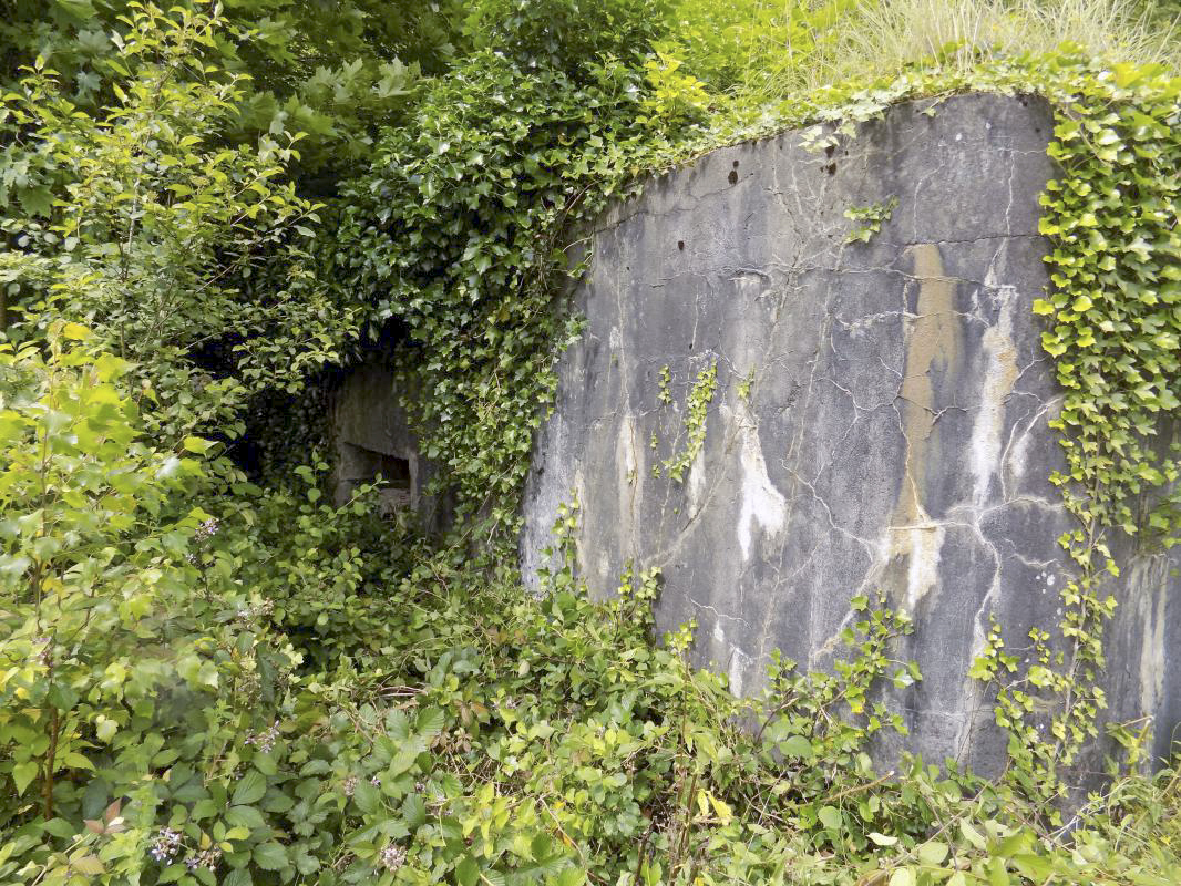 Ligne Maginot - BB59 - LES VANNELLES - (Blockhaus pour canon) - Face frontale - R Tucker