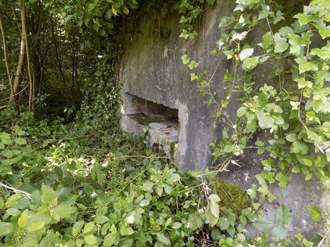 Ligne Maginot - BB59 - LES VANNELLES - (Blockhaus pour canon) - Face frontale - R Tucker