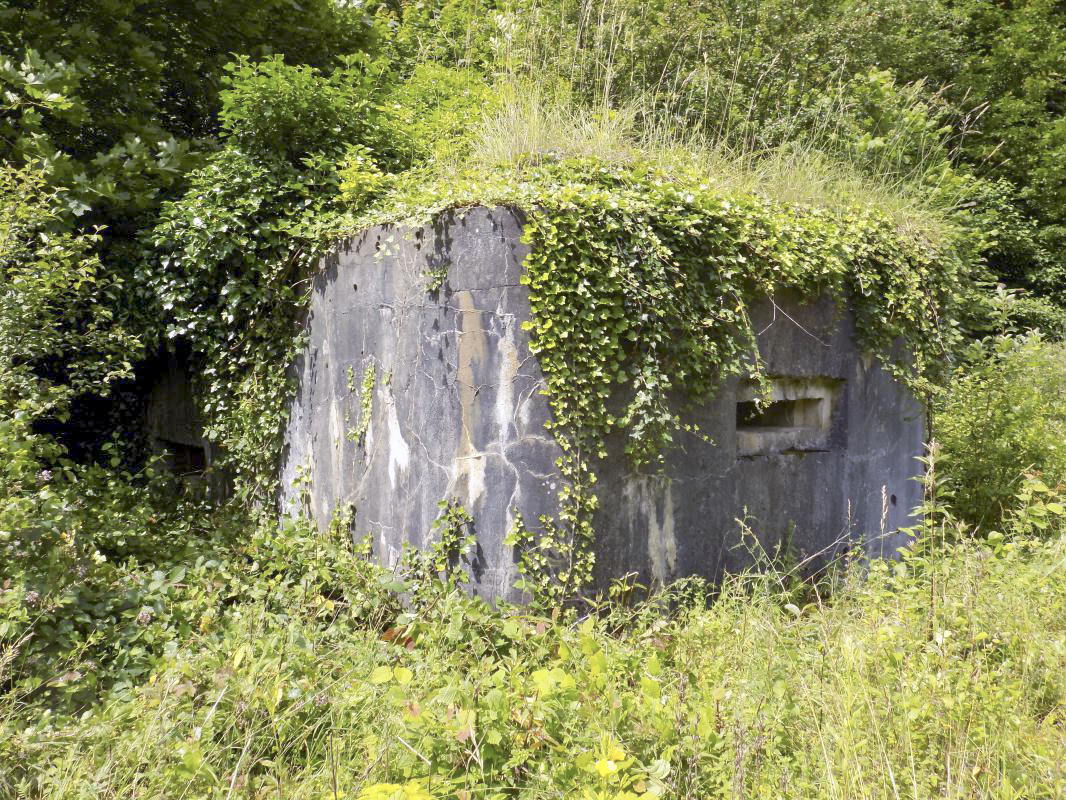 Ligne Maginot - BB59 - LES VANNELLES - (Blockhaus pour canon) - Faces frontale et gauche - R Tucker