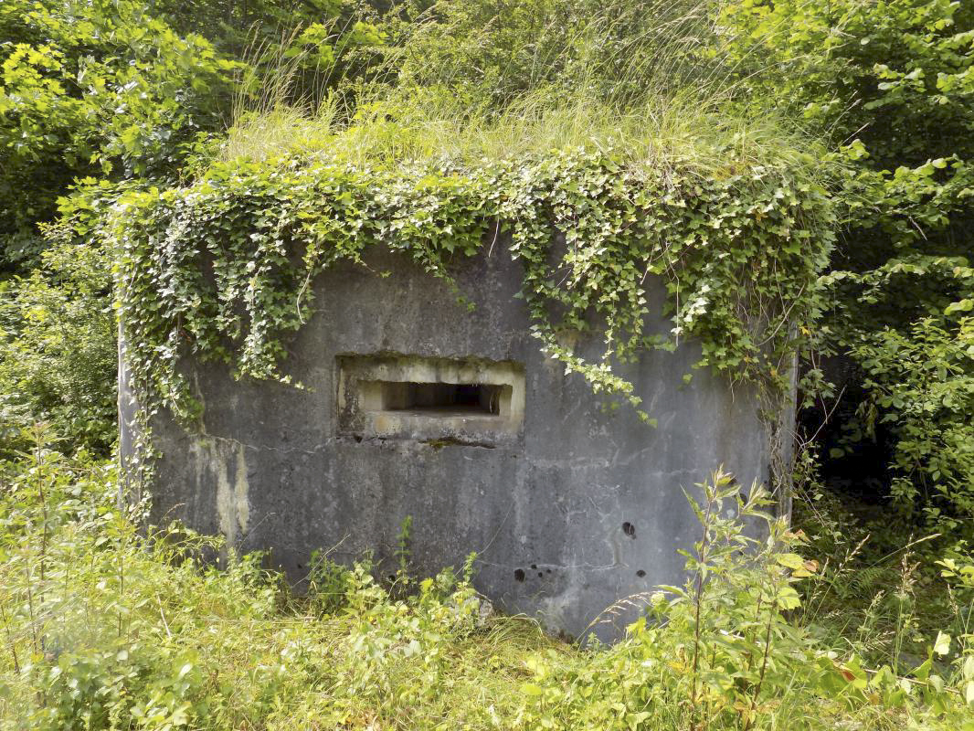 Ligne Maginot - BB59 - LES VANNELLES - (Blockhaus pour canon) - Face gauche - R Tucker