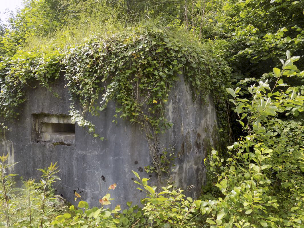 Ligne Maginot - BB59 - LES VANNELLES - (Blockhaus pour canon) - Faces gauche et l'arrière - R Tucker