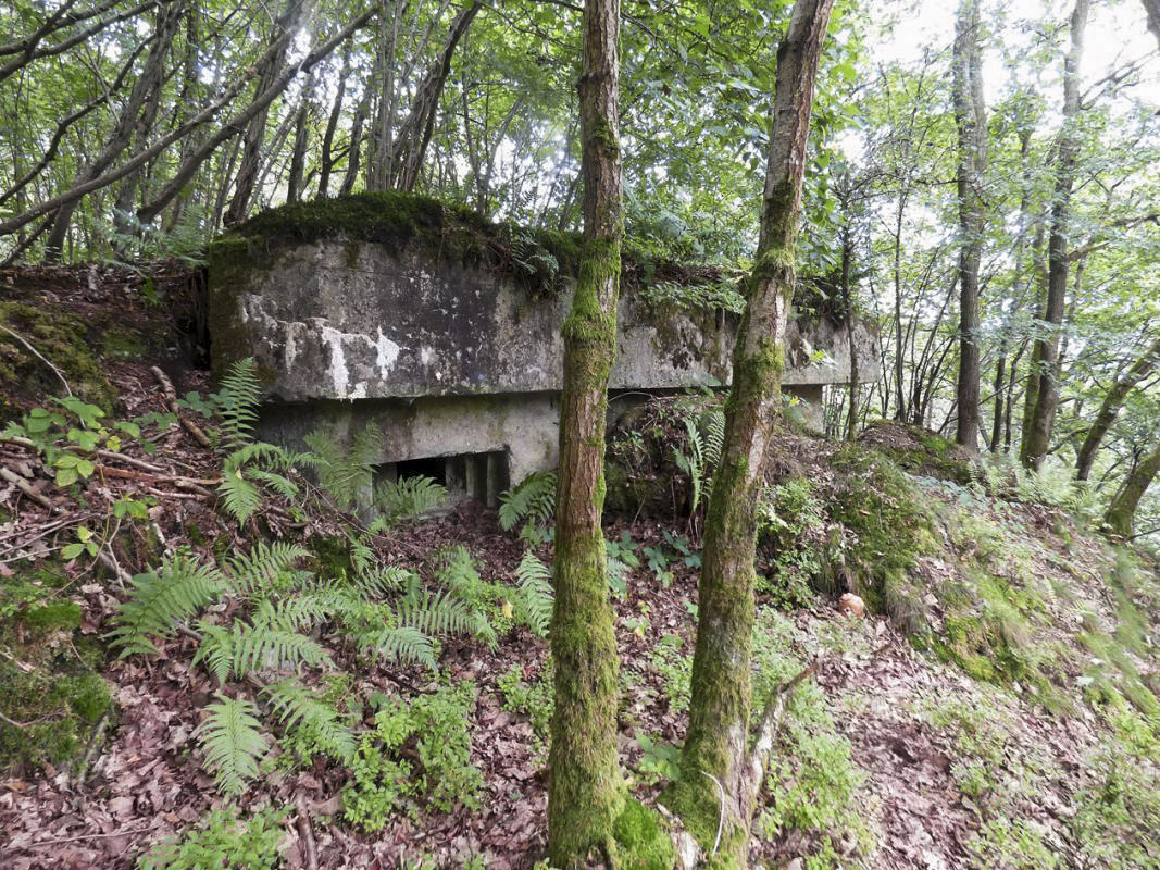 Ligne Maginot - BB60-D - LEVREZY - (Blockhaus pour arme infanterie) -  - JMBrams