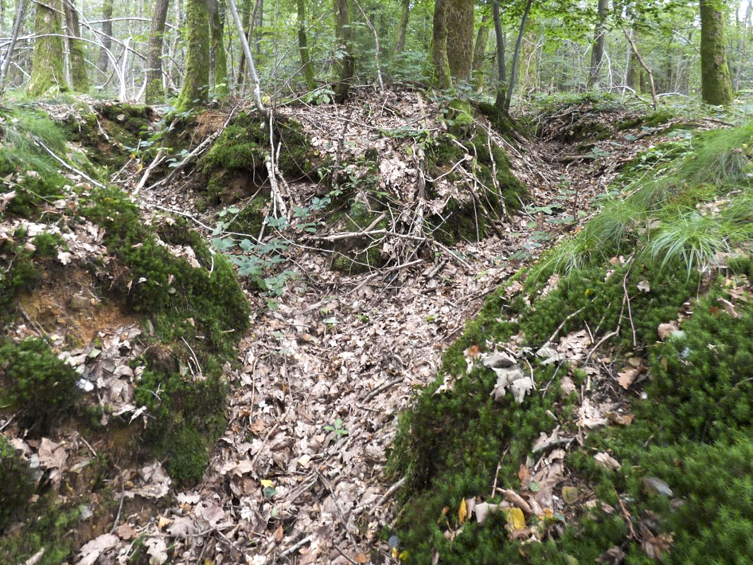 Ligne Maginot - BB60-D - LEVREZY - (Blockhaus pour arme infanterie) - Tranchées d'accès au blockhaus - JMBrams