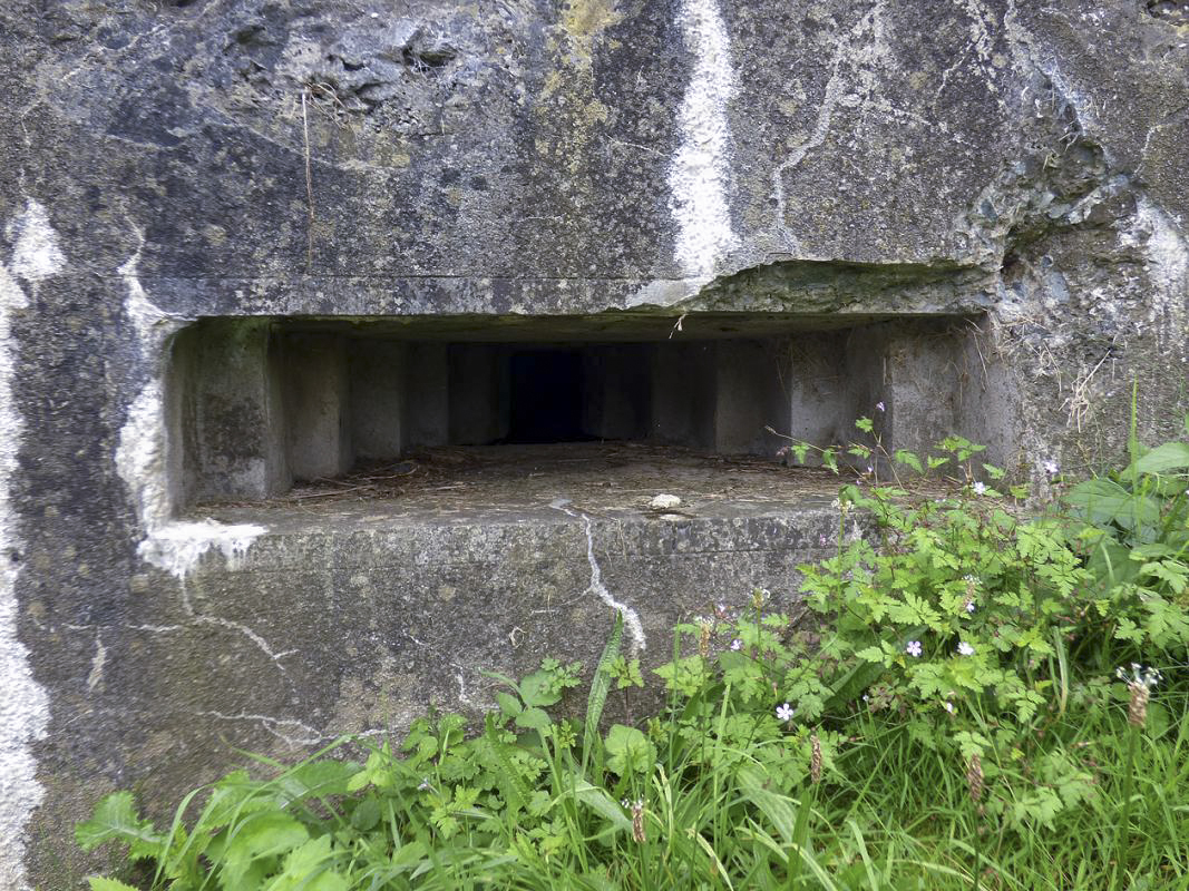 Ligne Maginot - BB61 - BARRAGE DE BOGNY - (Blockhaus pour arme infanterie) -  - JMBrams