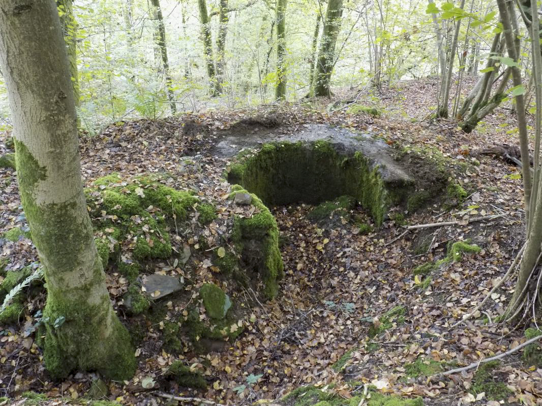 Ligne Maginot - TD18 - LES ECAILLETTES NORD - (Cuve pour arme d'infanterie) -  - R Tucker