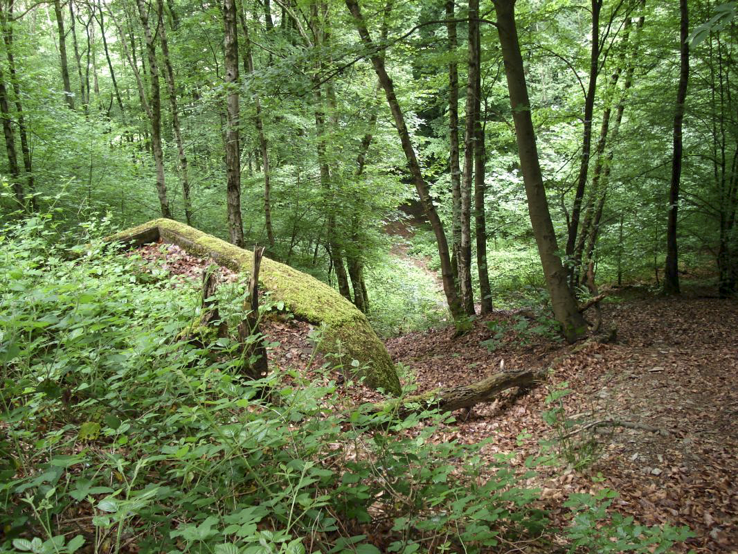Ligne Maginot - A63 - NOUZONVILLE - (Casemate d'artillerie) -  - R Tucker