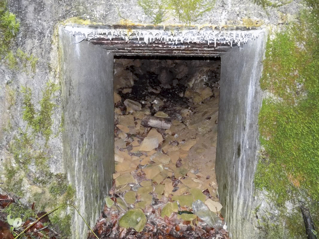 Ligne Maginot - CHARLEMAGNE (QUARTIER DU III / 148° RIF) - (PC de Quartier) - Entrée droite, l'entrée - R Tucker