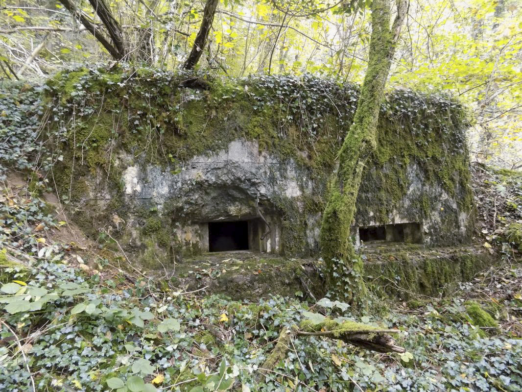 Ligne Maginot - BB82-C - LE HETRE - (Blockhaus pour canon) - Face droite - R Tucker