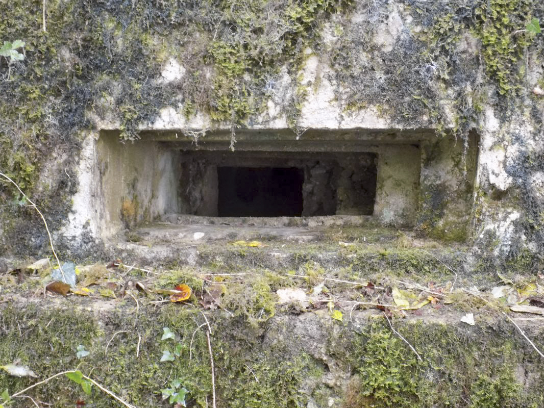 Ligne Maginot - BB82-C - LE HETRE - (Blockhaus pour canon) - Face droite, créneau Hotchkiss - R Tucker
