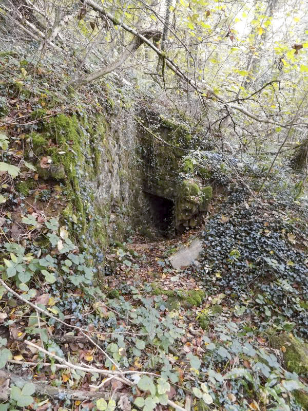 Ligne Maginot - BB82-C - LE HETRE - (Blockhaus pour canon) - L'entrée - R Tucker