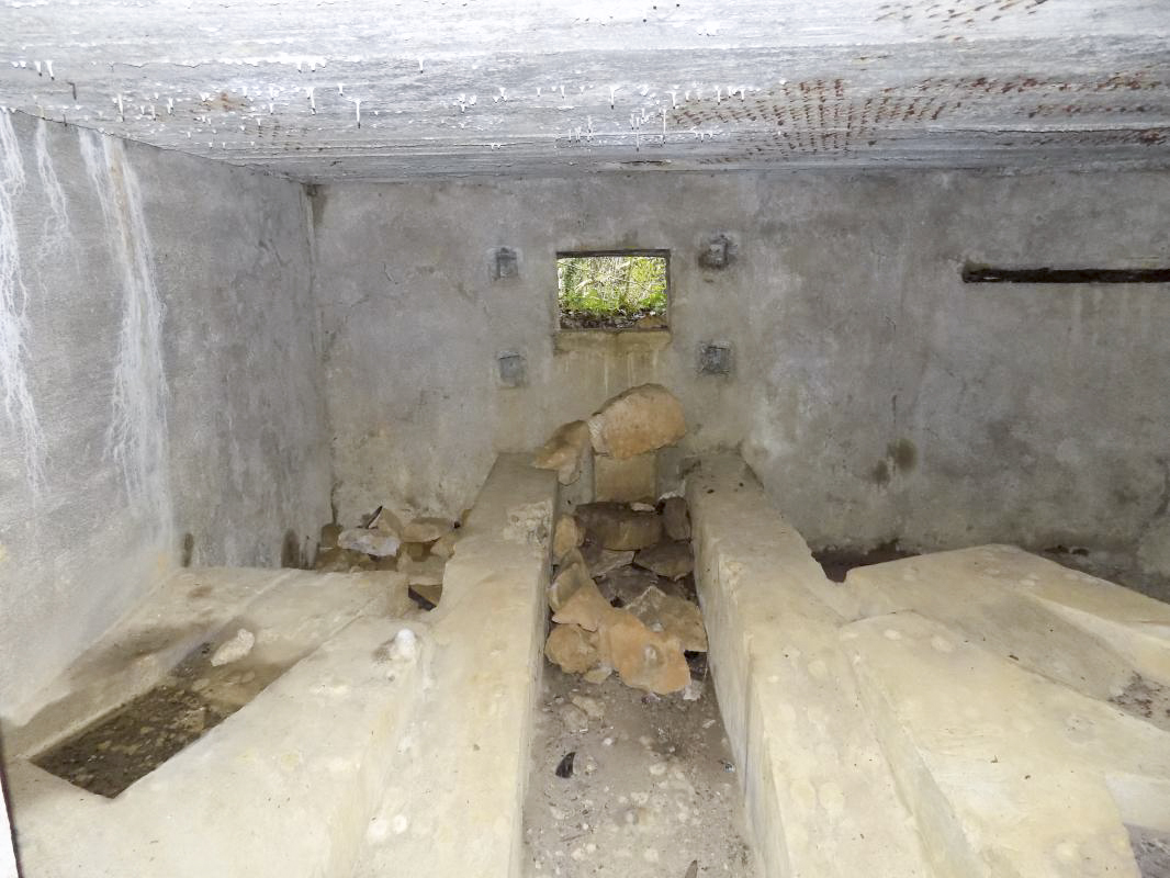 Ligne Maginot - BB82-C - LE HETRE - (Blockhaus pour canon) - Face gauche, créneau AC - R Tucker