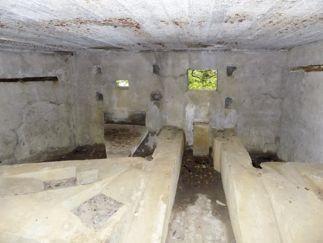Ligne Maginot - BB82-C - LE HETRE - (Blockhaus pour canon) - Face droite, créneaux Hotchkiss et  AC - R Tucker