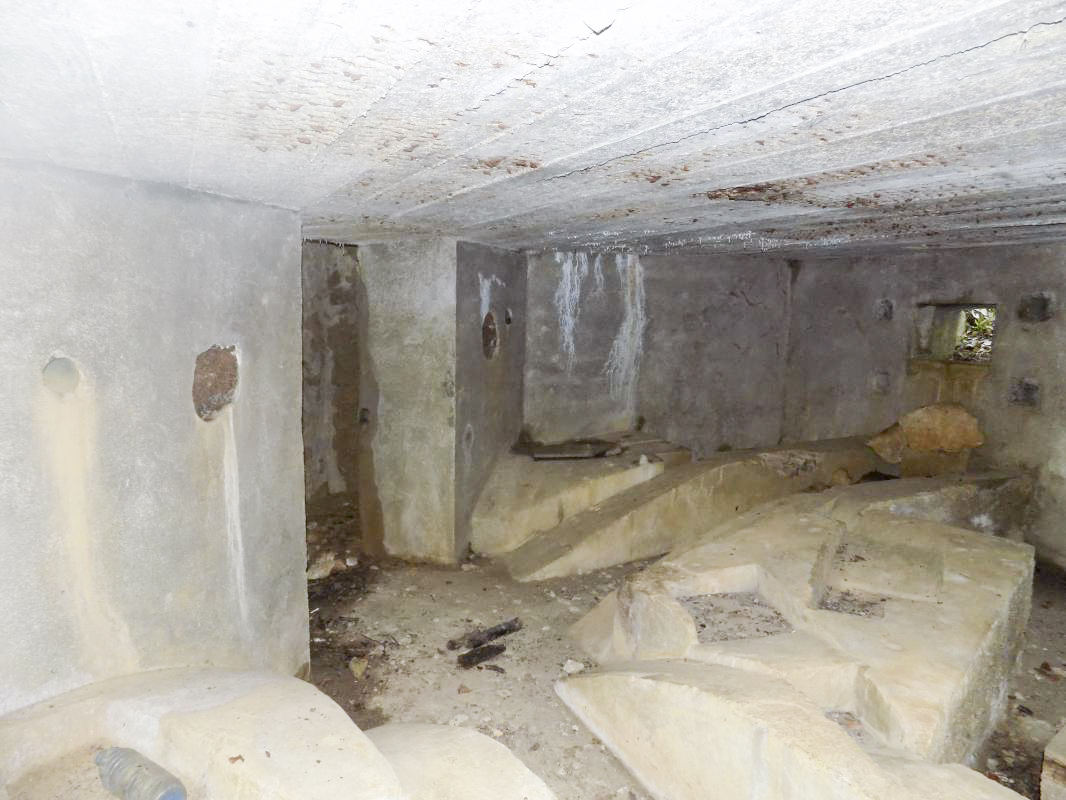 Ligne Maginot - BB82-C - LE HETRE - (Blockhaus pour canon) - Vue vers l'arrière gauche - R Tucker