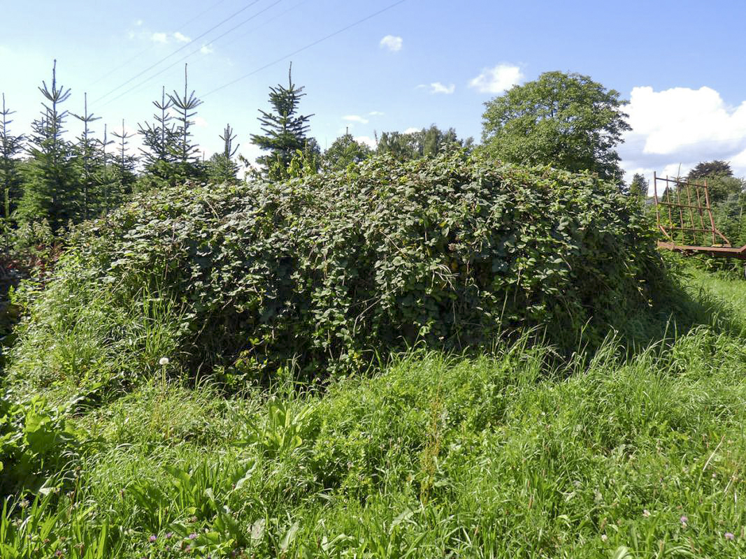 Ligne Maginot - Bb71-G - CALVAIRE de LIGNEUL (Blockhaus pour canon) -  - JMBrams