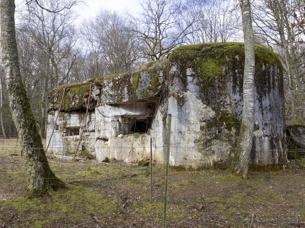 Ligne Maginot - TROIS FONTAINES NORD - (Blockhaus lourd type STG / STG-FCR - Simple) - Vue du sud - R Tucker