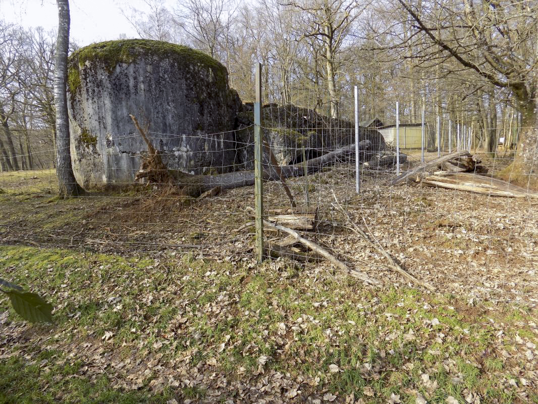 Ligne Maginot - TROIS FONTAINES NORD - (Blockhaus lourd type STG / STG-FCR - Simple) - Vue du sud-ouest - R Tucker