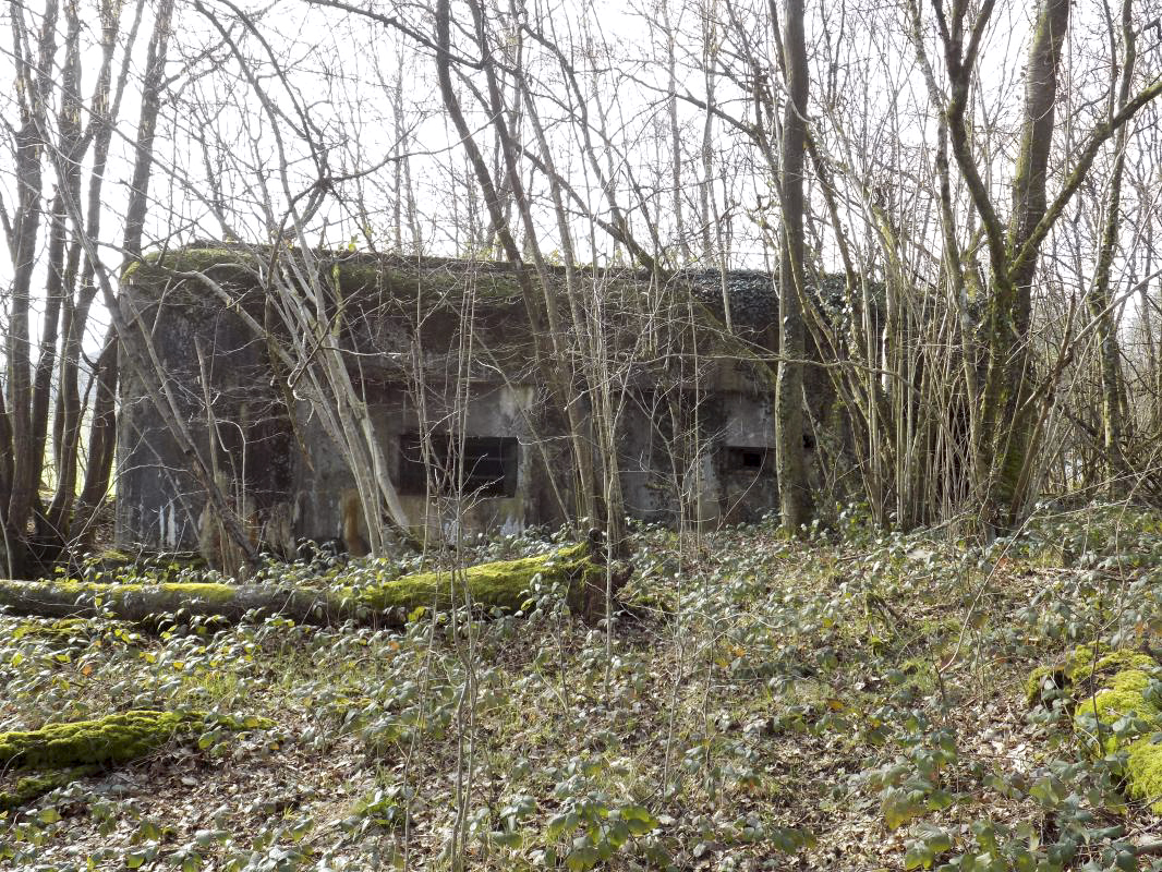 Ligne Maginot - TROIS FONTAINES SUD - (Blockhaus lourd type STG / STG-FCR - Simple) -  - R Tucker