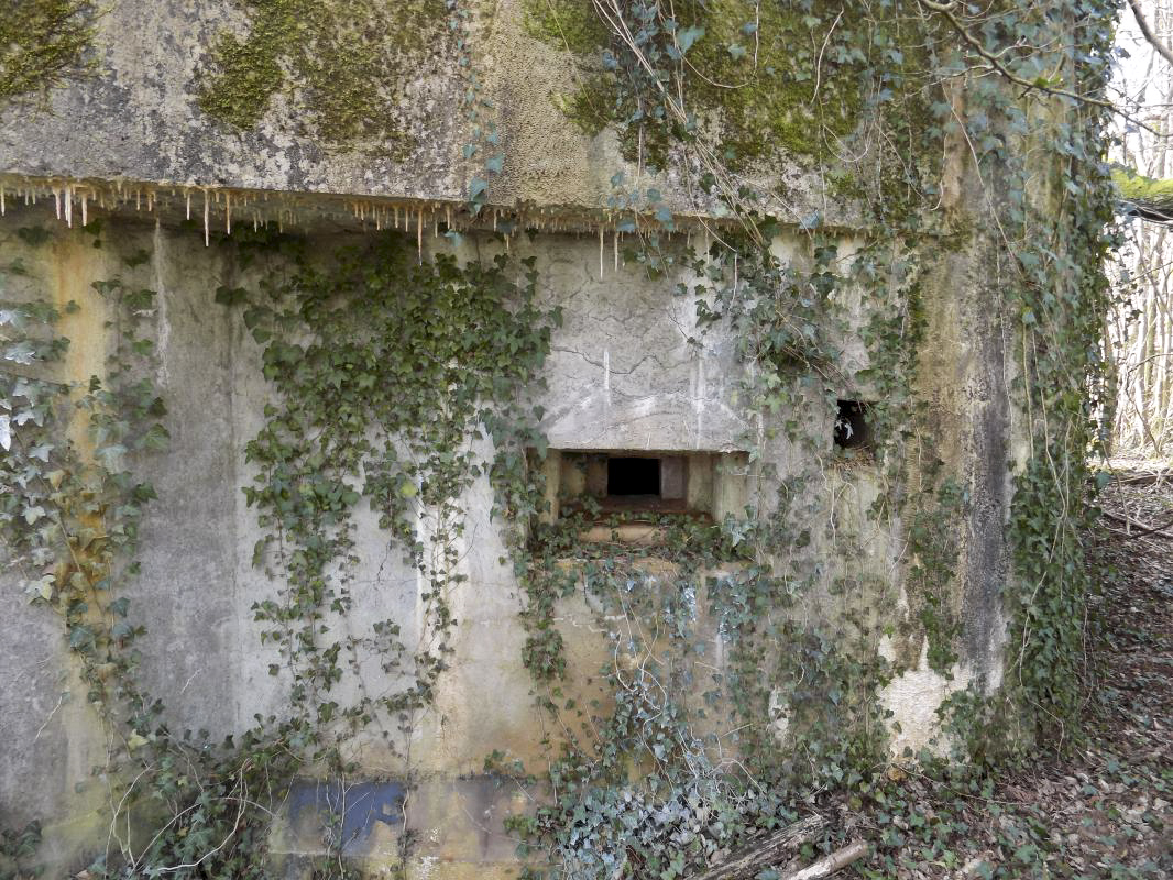 Ligne Maginot - TROIS FONTAINES SUD - (Blockhaus lourd type STG / STG-FCR - Simple) - Créneau Hotchkiss - R Tucker