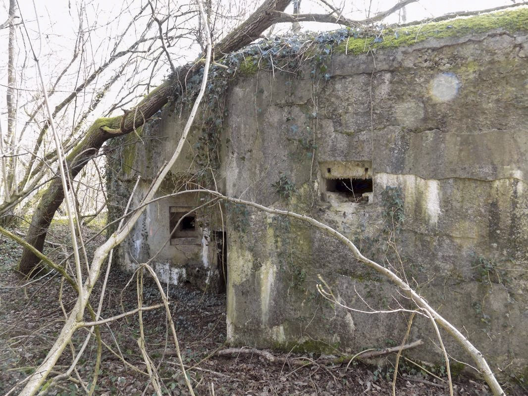 Ligne Maginot - TROIS FONTAINES SUD - (Blockhaus lourd type STG / STG-FCR - Simple) -  - R Tucker